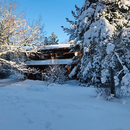 Kibuvitsa Holiday House Muratsi ภายนอก รูปภาพ